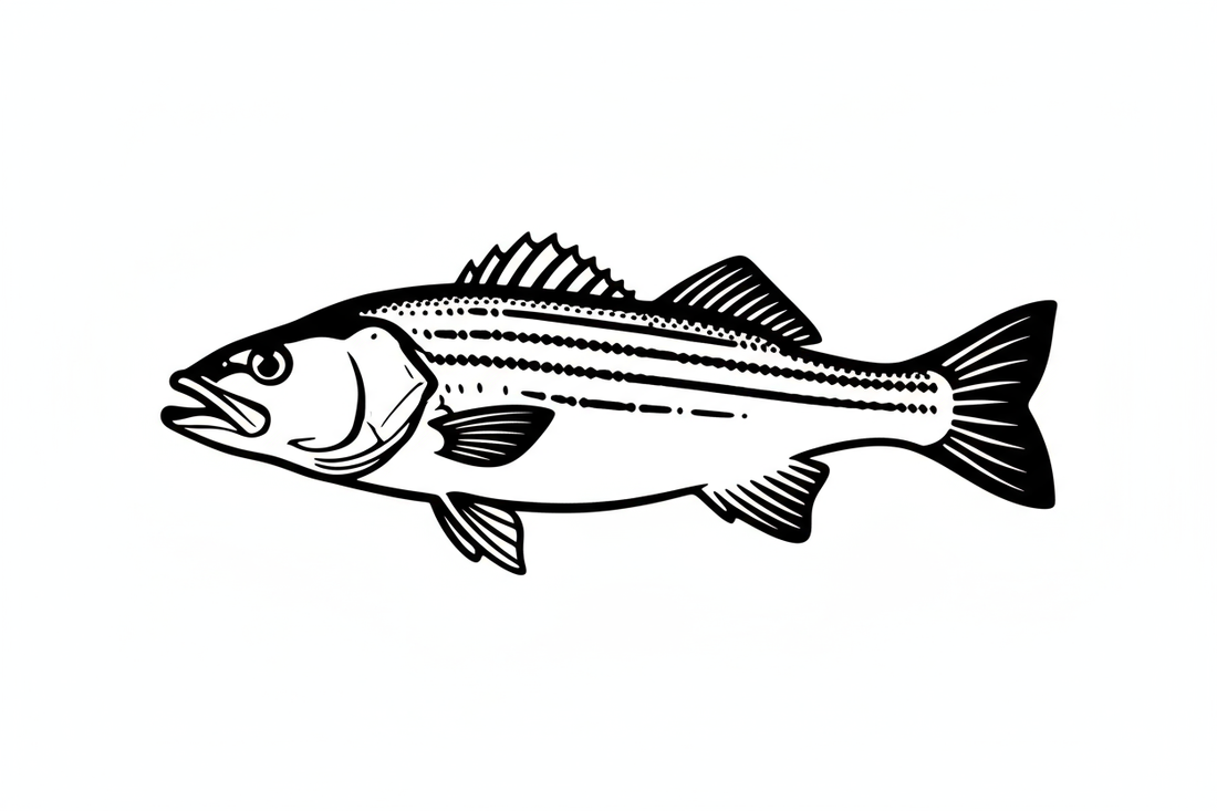 Striper Tip: Fishing for Stripers in the California Delta