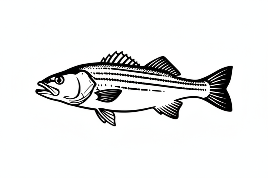 Striper Tip: Fishing for Stripers in the California Delta