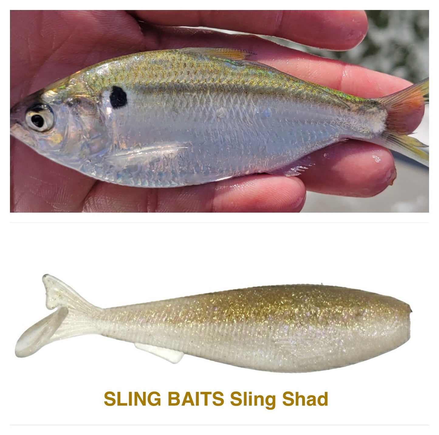 SLING BAITS 2.3" Sling Shad