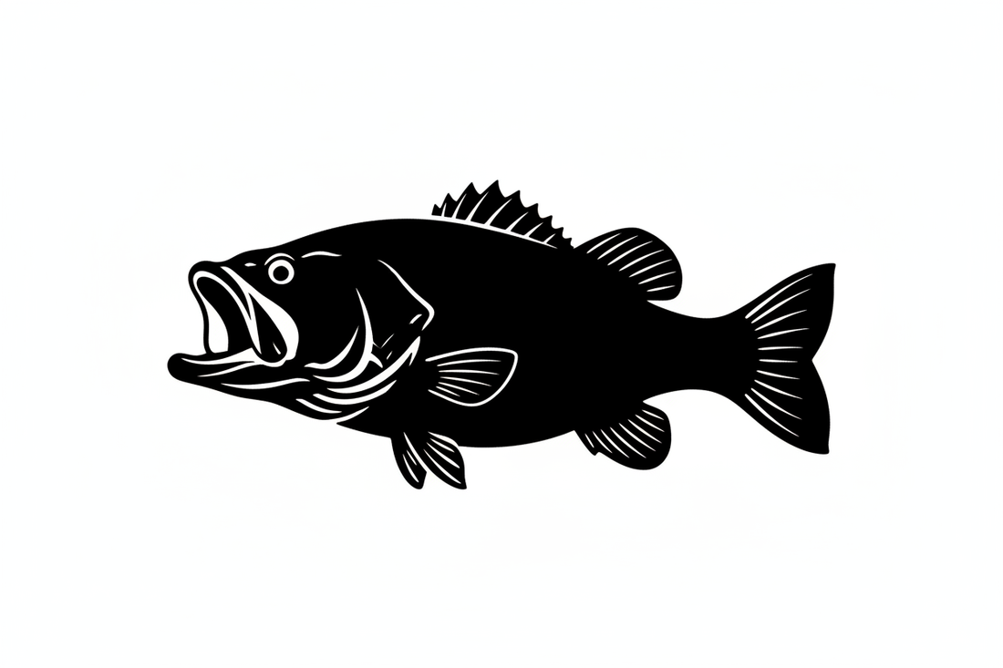 Learn How to Fish for Bass in the California Delta