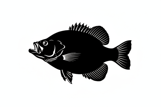 Crappie Fishing in Northern California